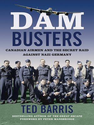 cover image of Dam Busters
